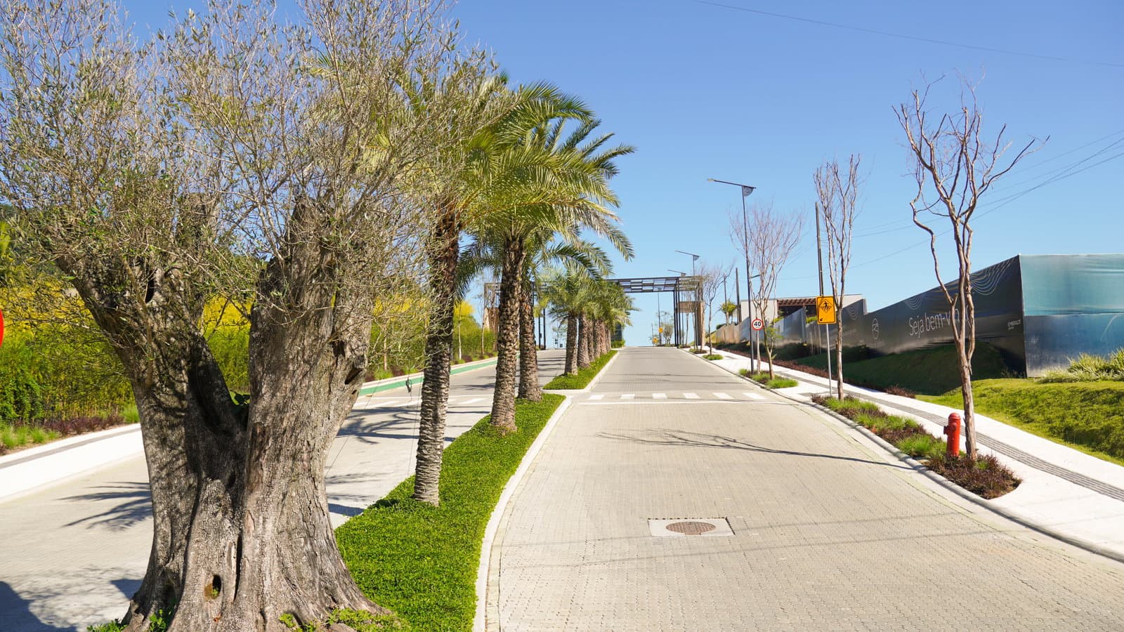 Colinas de Camboriú