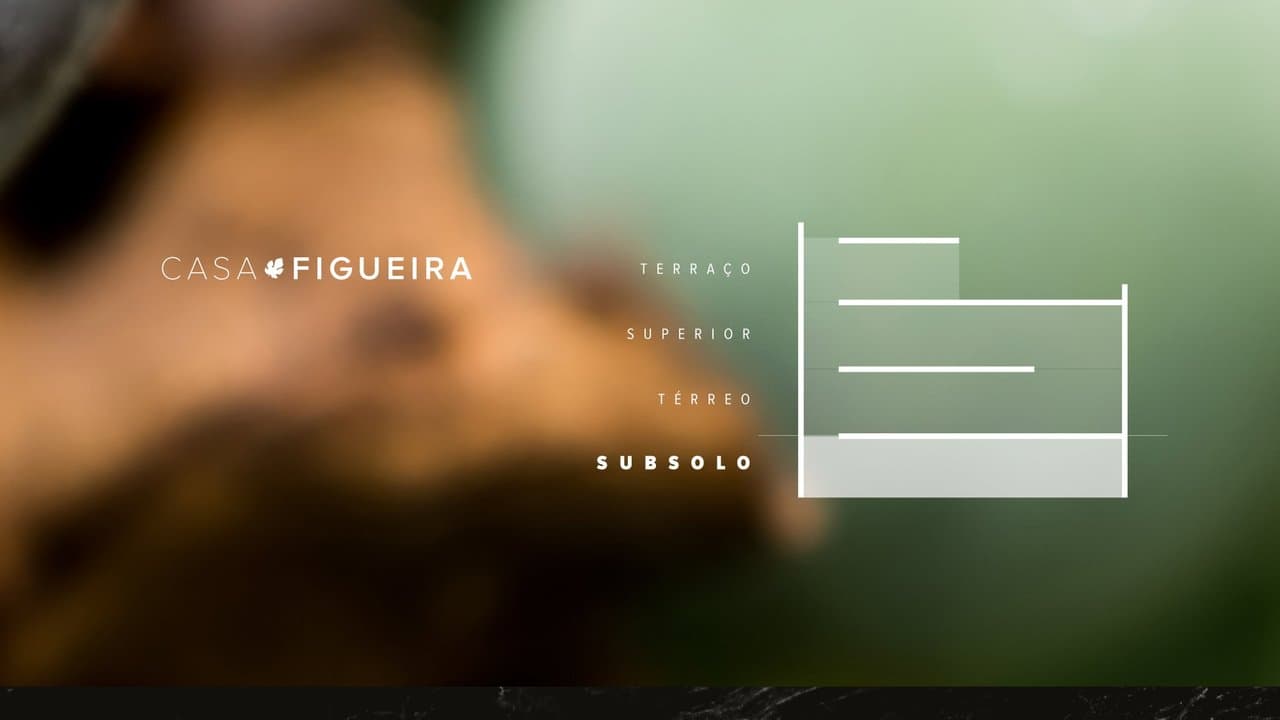 Casa Figueira