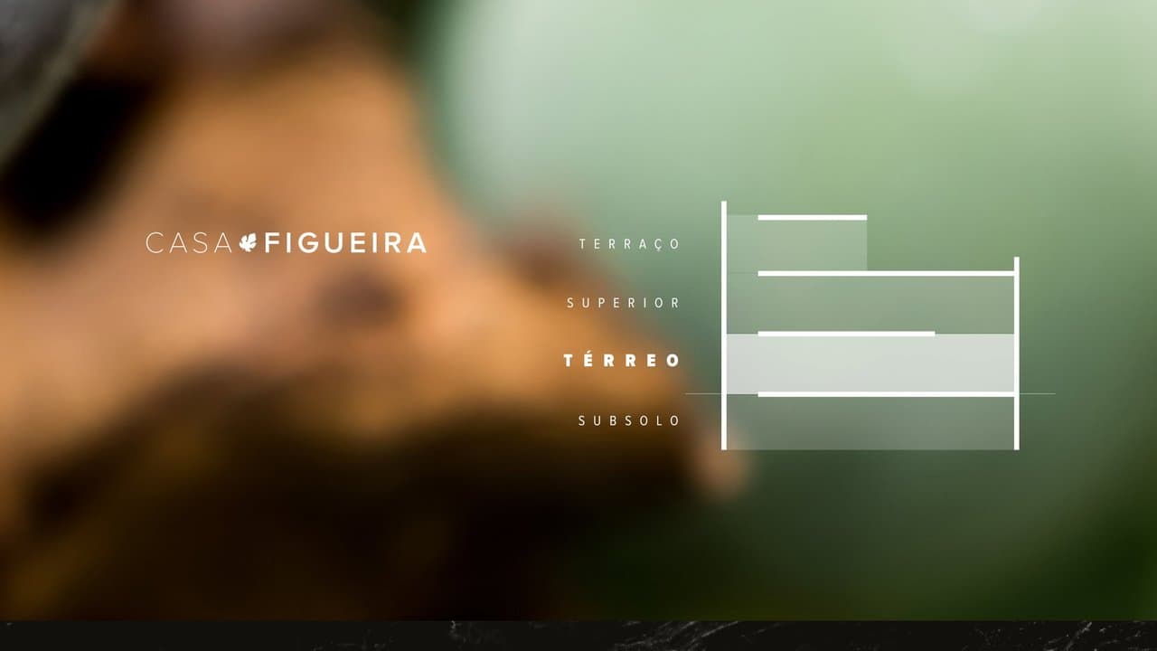 Casa Figueira